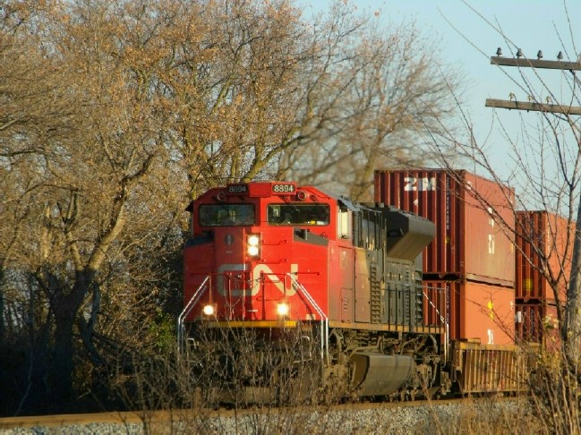 CN 8894